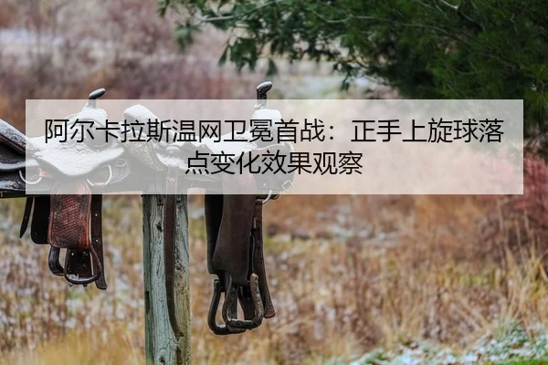 a-er-ka-la-si-wen-wang-wei-mian-shou-zhan-zheng-shou-shang-xuan-qiu-luo-dian-bian-hua-xiao-guo-guan-cha-2-349.jpg