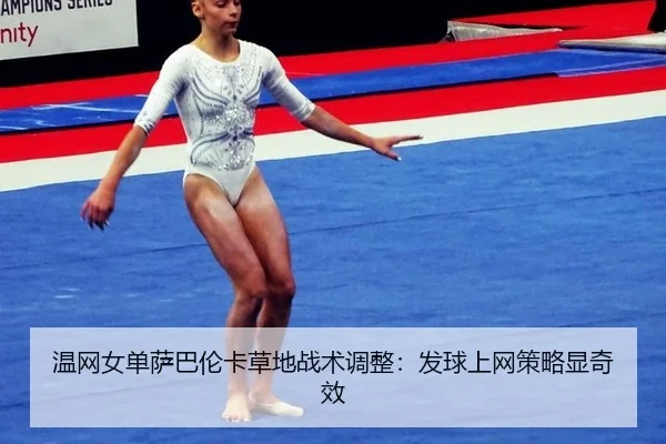 wen-wang-nv-dan-sa-ba-lun-ka-cao-di-zhan-shu-tiao-zheng-fa-qiu-shang-wang-ce-lve-xian-qi-xiao-2-533.jpg